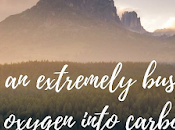 Méditation sentiments culpabilité