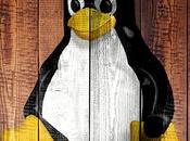 Tout savoir système d’exploitation Linux