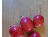 Pommes sauvages, vous