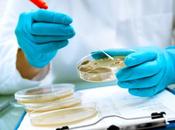 CANCER PROSTATE dans microbiote