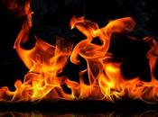 Blazor parmi meilleures bibliothèques pour WebAssembly niche”, dont l’utilisation diminue Visual Studio Magazine