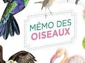 mémo oiseaux