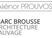 Galerie Aliénor Prouvost Bruxelles partir 24/11/2022. Marc Brousse