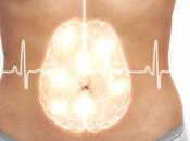 MICI neurones entériques protègent intestins