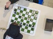 échecs, sport cérébral succès