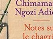 Notes chagrin Chimamanda Ngozi Adichie