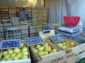 Foire d'Elevage Espezel