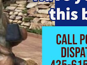 voleurs d'ours récidivent