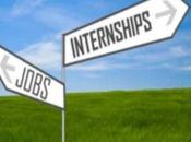 recherche d’un emploi développement Vérifiez dernière date, lien d’application, l’allocation