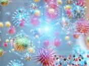 MICROBIOTE INTESTINAL restaurait systématiquement après antibiotiques