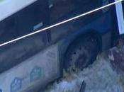 Fusils États-Unis, Mais Mâles d'Amérique