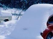 Elle Fait Bébés Toute Seule