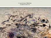 Galerie yeux fertiles INEFFABLE Didier Mazuru partir Mars 2023.