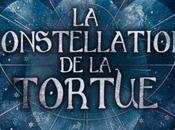 constellation tortue