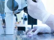 OOGENÈSE Mais qu’est-ce fait l’exceptionnelle fertilité rat-taupe