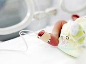 PRÉMATURITÉ bébés finissent rattraper poids normal