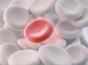 INSUFFISANCE MÉDULLAIRE stratégie traitement possible identifiée