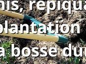 Semis, repiquage plantation, beaucoup boulot avril (vidéo)
