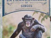 livre extraordinaire singes