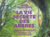 secrète arbres Peter Wohlleben