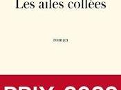 ailes collees