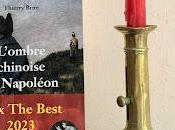 L'ombre chinoise Napoléon Thierry Brun