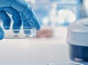 ANTIBIORÉSISTANCE Faut-il casser pattes bactéries