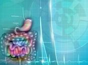 CANCER COLORECTAL Pourquoi l’obésité reste facteur trop sous-estimé