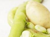 COGNITION régime méditerranéen vert rajeunit cerveau