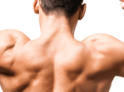 Avoir épaules fortes sculptées meilleurs exercices pour l'arrière d'épaule