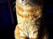 Défi photo lecteurs disques Stockton