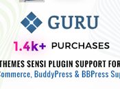 Gourou Gestion l’apprentissage WordPress