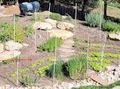 clôture tient toujours