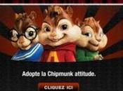 Personnalise Chipmunk adopte "Chipmunk attitude"