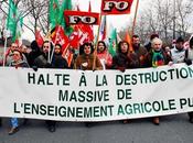 Manifestation contre destruction l'enseignement agricole public