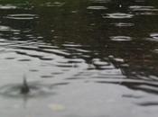 Maghreb: pluie berceuses comptines.