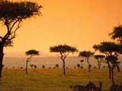 vols pour Kenya sont suspendus